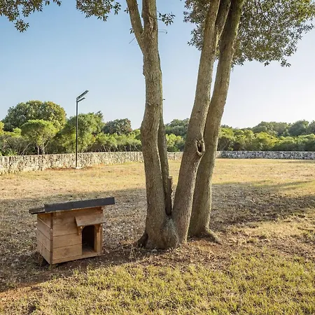 Holiday home Casa Vala Romana With Jacuzzi And Big Garden