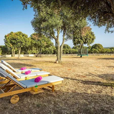 Casa Vala Romana With Jacuzzi And Big Garden