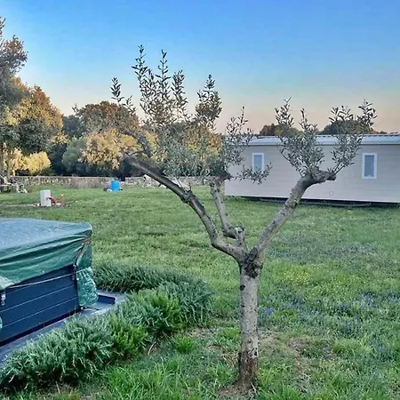 Holiday home Casa Vala Romana With Jacuzzi And Big Garden Pula